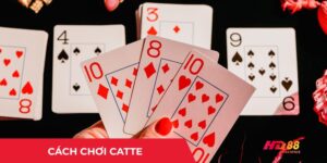 cách chơi bài catte