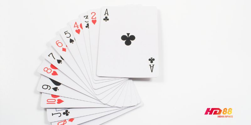 Tiến Lên Miền Nam