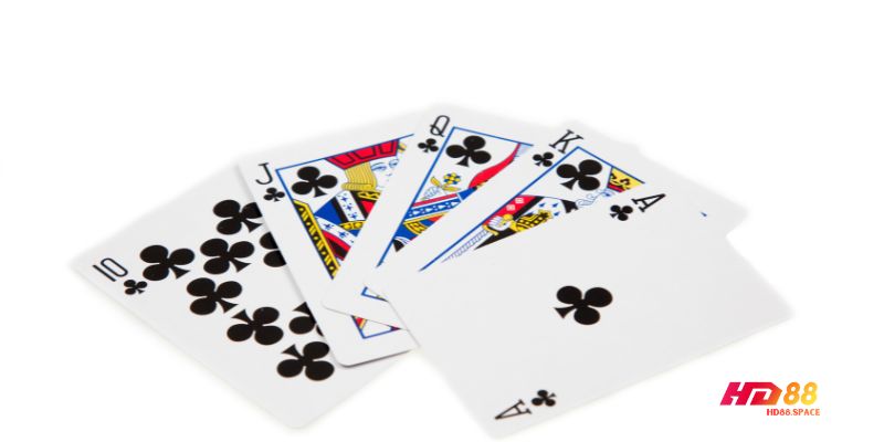 Tiến Lên Miền Nam